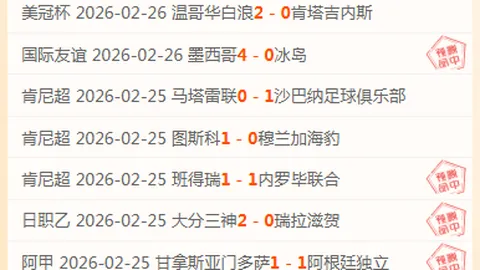 美冠杯决赛亮点分析：蓝十字新高度解析